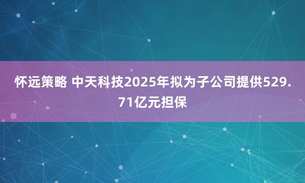 怀远策略 中天科技2025年拟为子公司提供529.71亿元担保