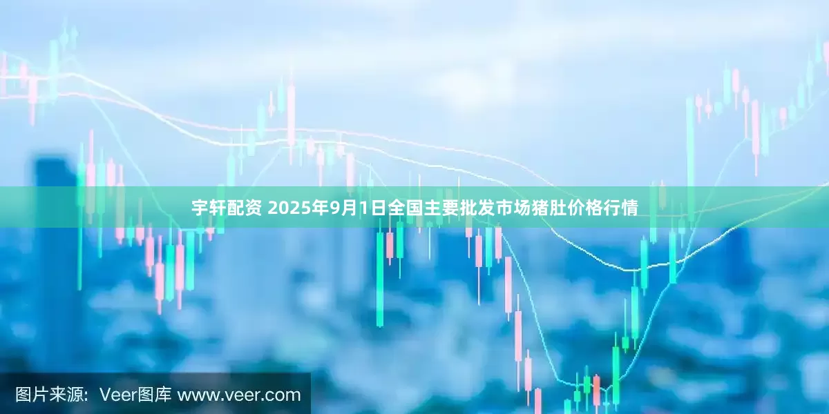 宇轩配资 2025年9月1日全国主要批发市场猪肚价格行情